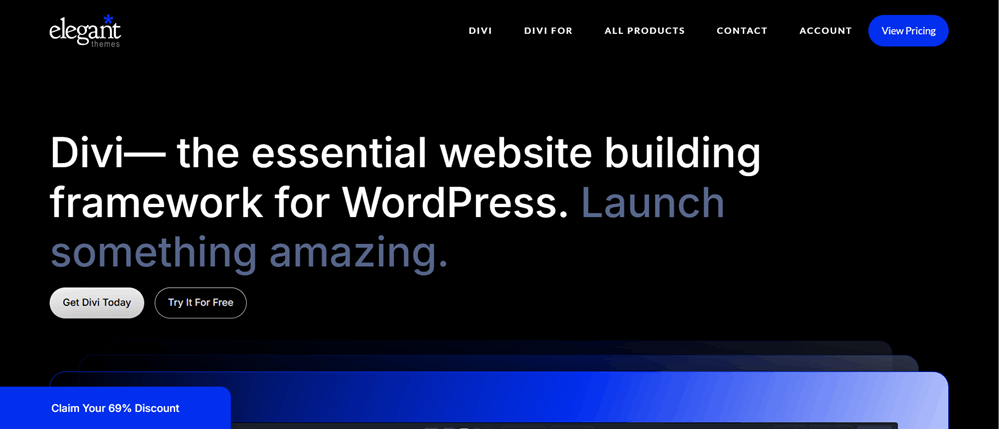 Divi Theme (2)
