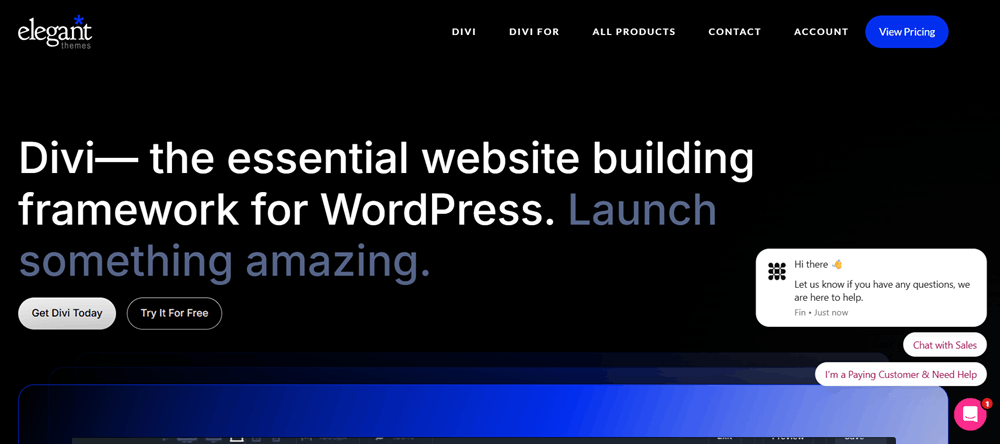 Divi Theme